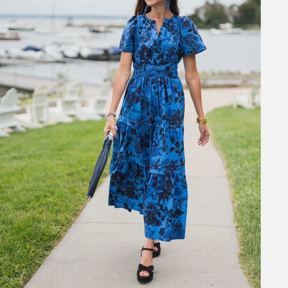 Anthropologie Somerset Blue and Black Maxi Dress - Picture 2 of 9